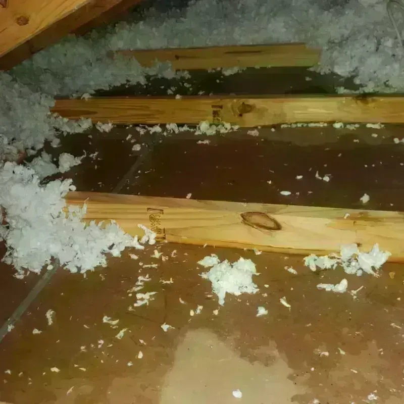 Attic Water Damage in Kimball, NE